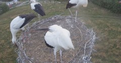 IMG_1126.jpeg