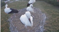 IMG_1132.jpeg