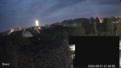 2024-08-01 22_04_00-Biecz gniazdo bocianów - YouTube – Maxthon.png