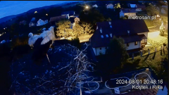 2024-08-01 22_15_00-Gniazdo bocianie _Kostek i Rika_ - Podkarpacie Kostarowce - YouTube – Maxthon.png