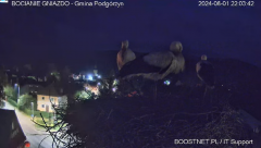 2024-08-01 22_54_05-Bocianie Gniazdo Podgórzyn - Kamera na żywo - Live 2024 - YouTube – Maxthon.png