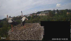 2024-08-02 14_55_22-Biecz gniazdo bocianów - YouTube – Maxthon.png