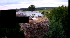 2024-08-02 19_39_22-rtsp___94.40.20.138_554_h264_ch1_main_av_stream - VLC media player.png