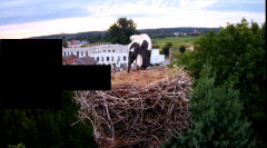 2024-08-02 20_13_44-rtsp___94.40.20.138_554_h264_ch1_main_av_stream - VLC media player.png