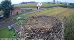 2024-08-02 15_01_37-Bocian Gierłachowo - YouTube – Maxthon.png