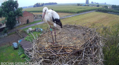 2024-08-02 15_01_49-Bocian Gierłachowo - YouTube – Maxthon.png