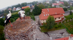 2024-08-02 15_06_40-Gniazdo bocianie _Kostek i Rika_ - Podkarpacie Kostarowce - YouTube – Maxthon.png