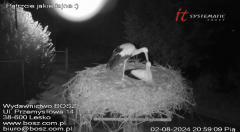 2024-08-02 20_57_51-Nasze bociany gniazdo Lesko - Wydawnictwo BoSz – Maxthon.png