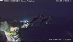 2024-08-02 21_57_07-Bocianie Gniazdo Podgórzyn - Kamera na żywo - Live 2024 - YouTube – Maxthon.png