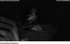 bandicam 2024-08-03 17-17-11-713.jpg