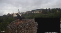 2024-08-03 20_23_00-Biecz gniazdo bocianów - YouTube – Maxthon.png