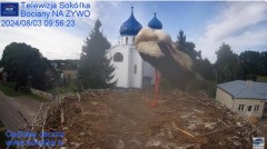 MWSnap 2024-08-03, 20_40_38.jpg