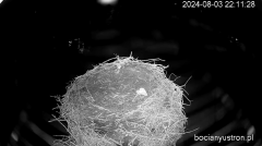 2024-08-03 23_20_40-Bociany Ustroń - transmisja na żywo - YouTube – Maxthon.png