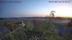 4 sierpień'24 Kamilka przed opuszczeniem gniazda 04:38:14; 04:38:25 odleciała