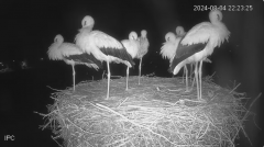 2024-08-04 22_52_25-Bociany - Raszków - YouTube – Slimjet.png