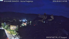 2024-08-04 23_39_55-Bocianie Gniazdo Podgórzyn - Kamera na żywo - Live 2024 - YouTube – Slimjet.png