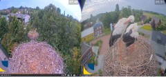 bandicam 2024-08-05 20-35-25-748.jpg