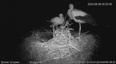 IMG_2035.jpeg