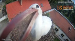IMG_2240.jpeg