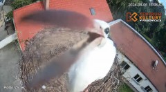 IMG_2245.jpeg
