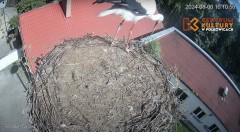 IMG_2257.jpeg