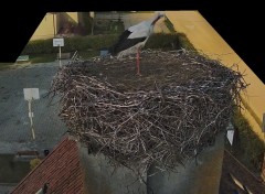 IMG_2354.jpeg