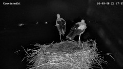 IMG_2404.jpeg