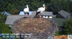 IMG_2290.jpeg