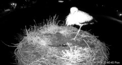 IMG_2409.jpeg