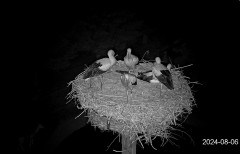 IMG_2383.jpeg
