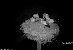 IMG_2413.jpeg