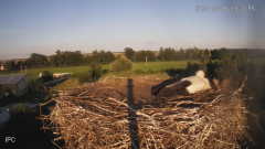 2024-08-06 23_10_00-Bociany - Raszków - YouTube – Maxthon.png