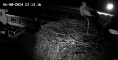 IMG_2417.jpeg