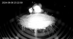 IMG_2422.jpeg