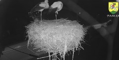 IMG_2434.jpeg
