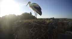 IMG_2341.jpeg