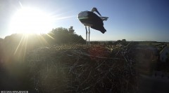 IMG_2342.jpeg