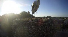 IMG_2343.jpeg
