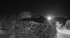 IMG_2435.jpeg