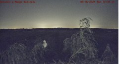 IMG_2437.jpeg