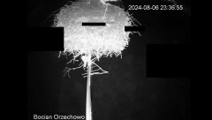 IMG_2438.jpeg