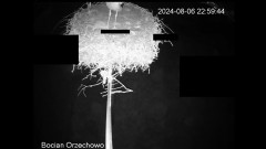 IMG_2442.jpeg