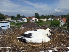 IMG_2830.jpeg