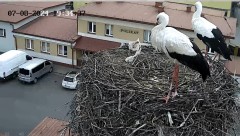 IMG_2852.jpeg