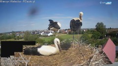 IMG_2752.jpeg
