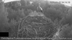 2024-08-07 20_51_44-Wodociągi Ostrołęka – transmisja na żywo - YouTube – Maxthon.png