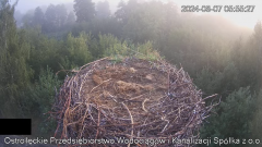 2024-08-07 20_54_05-Wodociągi Ostrołęka – transmisja na żywo - YouTube – Maxthon.png