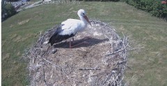 IMG_2704.jpeg