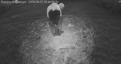 IMG_2932.jpeg
