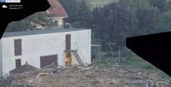 IMG_2939.jpeg